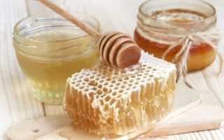Мед, варенье, выпечка и другие сладости при грудном вскармливании