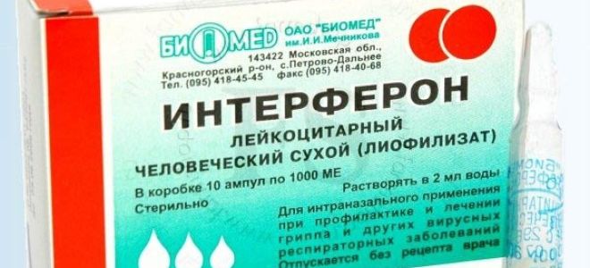 Интерферон: инструкция по применению для детей