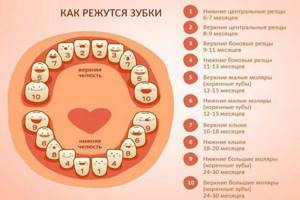 Понос при прорезывании зубов: сколько длится и нужно ли лечить