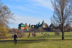 Куда пойти в Москве с ребенком на выходные: лучшие парки, аттракционы, театры и океанариумы