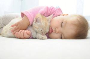 Как у детей проявляется аллергия на кошек: симптомы