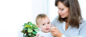 До какого возраста кормить смесью ребенка: рекомендации ВОЗ