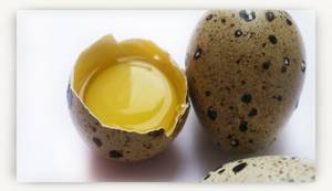 Как вводить яйцо в прикорм ребенку: со скольки месяцев грудничку
