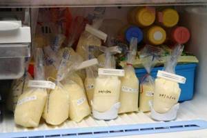 Сколько хранится грудное молоко в холодильнике