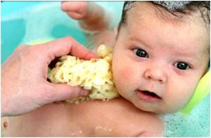 Как мыть голову новорожденному: частота и какие средства выбрать