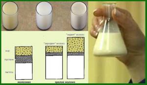 Грудное молоко: состав, полезные свойства, как образуется и выглядит