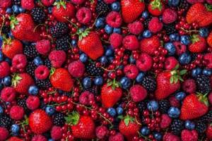 Какие ягоды можно при грудном вскармливании: черника, брусника, виноград