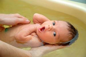 Череда для купания новорожденных: как заварить настой и правила процедуры