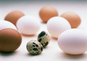 Яйца при грудном вскармливании: можно ли вареные или омлет в первый месяц ГВ