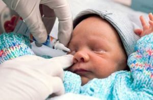 Глазные капли для новорожденных Тобрекс: инструкция по применению, аналоги