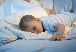 Режим дня ребенка в 8 месяцев: как правильно составить распорядок питания, сна и прогулок