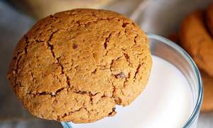 Овсяное печенье при грудном вскармливании: можно ли есть